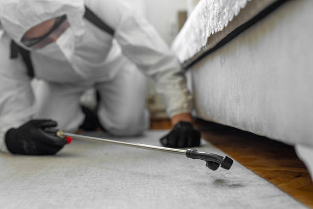 Professional Pest Control technician working in Erie County County, NY
